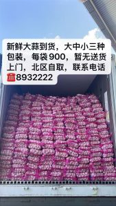 新鲜大蒜到货