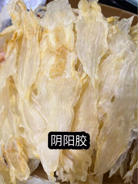黄花鱼母胶 公胶 阴阳胶 小黄花胶